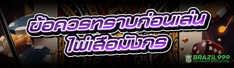 ไพ่เสือมังกร