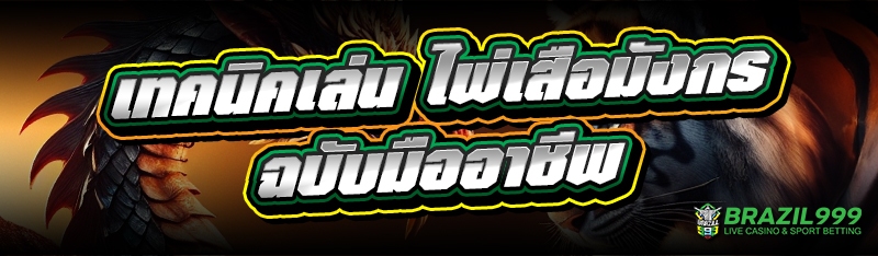 ไพ่เสือมังกร