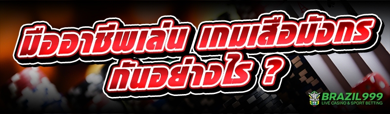 เกมเสือมังกร