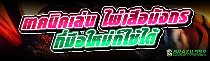 ไพ่เสือมังกร
